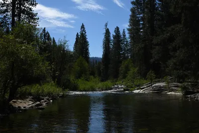 DSC_4295 (Large).JPG